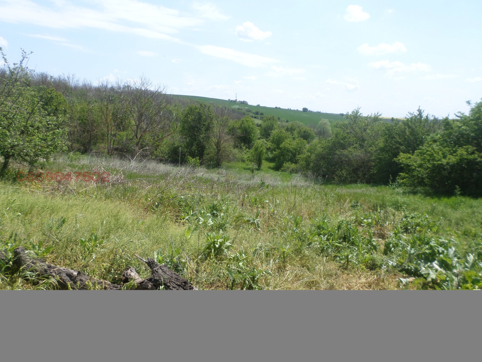 Продава КЪЩА, с. Малък Преславец, област Силистра, снимка 4 - Къщи - 54307453