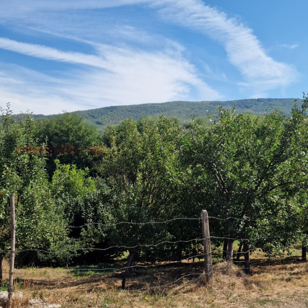 Продава ПАРЦЕЛ, с. Мирово, област София област, снимка 5 - Парцели - 55298822