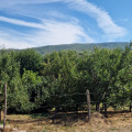 Продава ПАРЦЕЛ, с. Мирово, област София област, снимка 5
