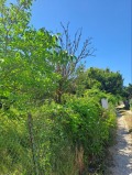 Продава ПАРЦЕЛ, град Варна, м-т Перчемлията • 35000 € • 20116024 — Holmes.bg