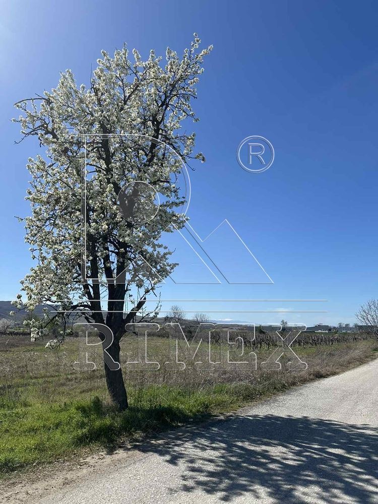 ������� ������ | Imot.bg � ����������� 2