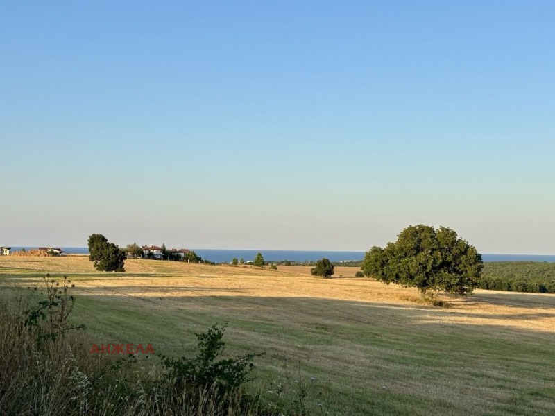 À venda  Trama região Burgas , Velika , 500 m² | 63309646 - imagem [3]