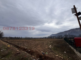 ������ ������� ������