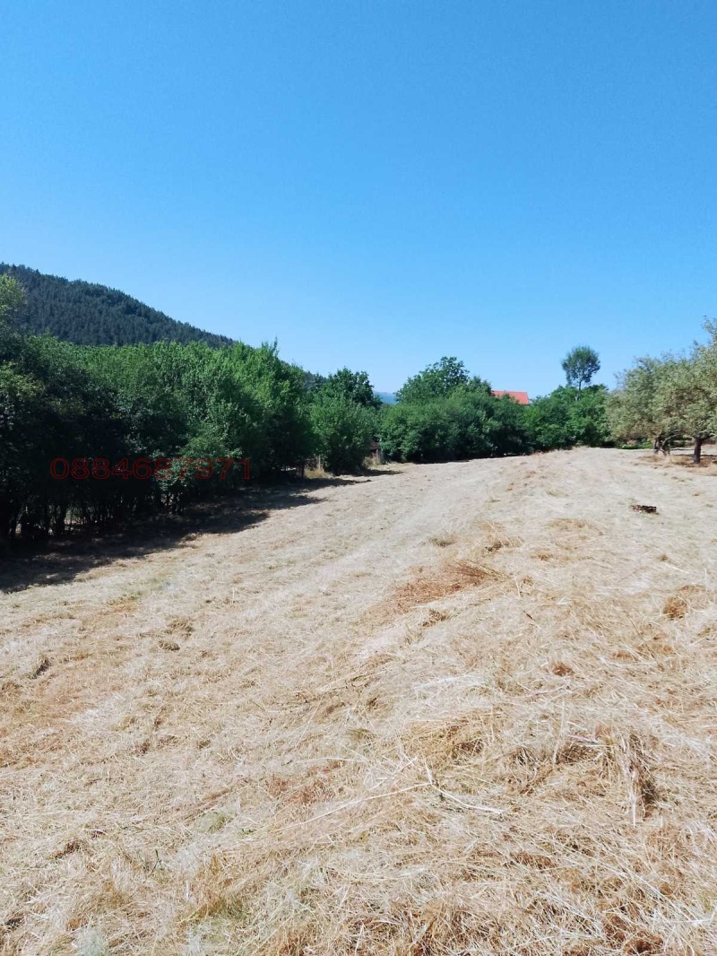 Продава ПАРЦЕЛ, гр. Годеч, област София област