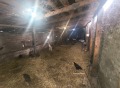 Продава КЪЩА, област Стара Загора, с. Боздуганово • 57500 лв. / 29399.28 € • 21072763 15