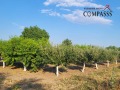 Продава ПАРЦЕЛ, с. Методиево, област Добрич, снимка 2