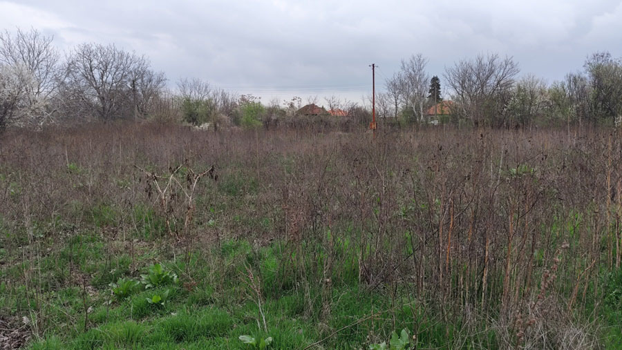 ������� ������ | Imot.bg � ����������� 10