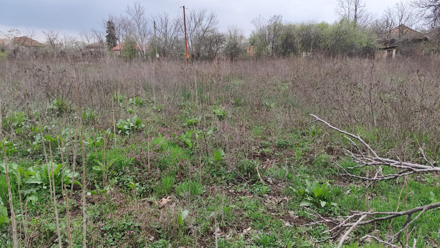 ������� ������ | Imot.bg � ����������� 2