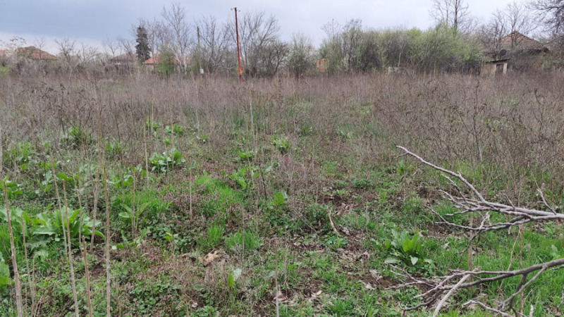 Продава ПАРЦЕЛ, с. Антимово, област Видин