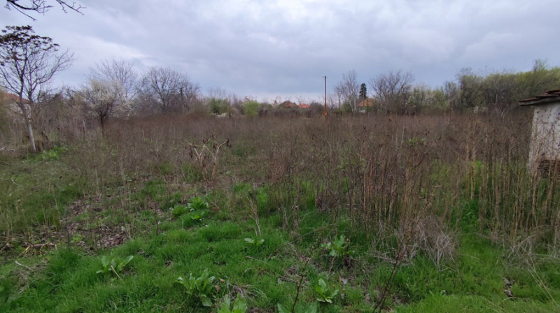 Продава ПАРЦЕЛ, с. Антимово, област Видин, снимка 10 - Парцели - 53452563