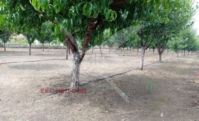 ������� ������ | Imot.bg � ����������� 1