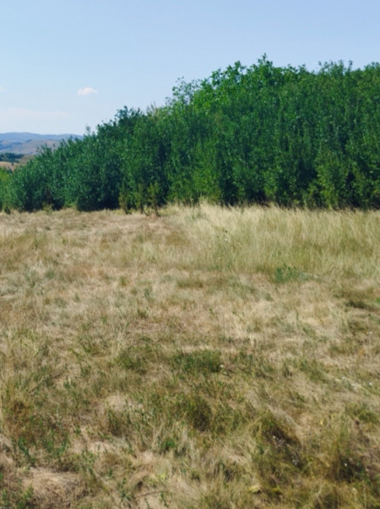 ������� ������ | Imot.bg � ����������� 3