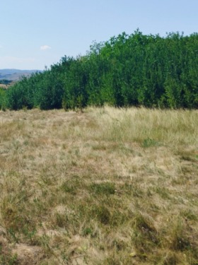 ������� ������ | Imot.bg � ����� ������ 3