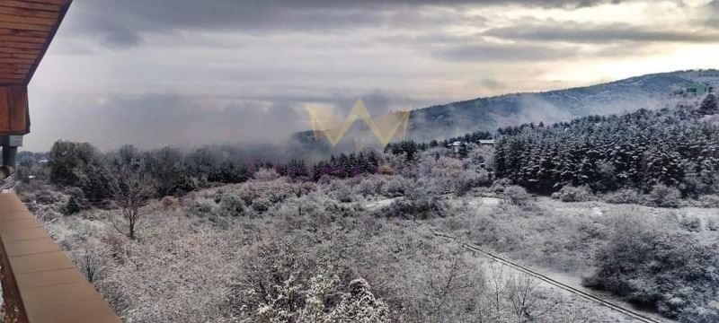 Продава КЪЩА, гр. София, с. Панчарево, снимка 8 - Къщи - 53766794