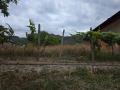 Продава ПАРЦЕЛ, с. Ресилово, област Кюстендил, снимка 2