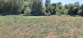 Продава ПАРЦЕЛ, гр. Карлово, област Пловдив, снимка 6