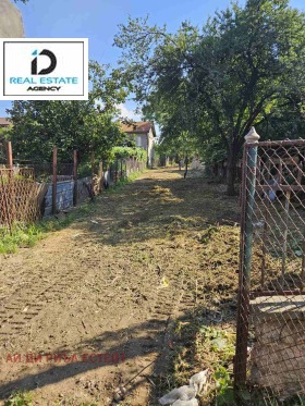 ����� ������� ������,���� �����, �����