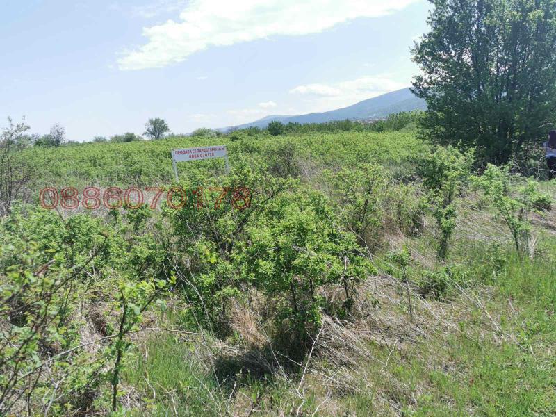 ������� ������ | Imot.bg � ����������� 6