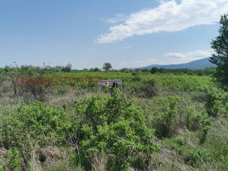 ������� ������ | Imot.bg � ����������� 10