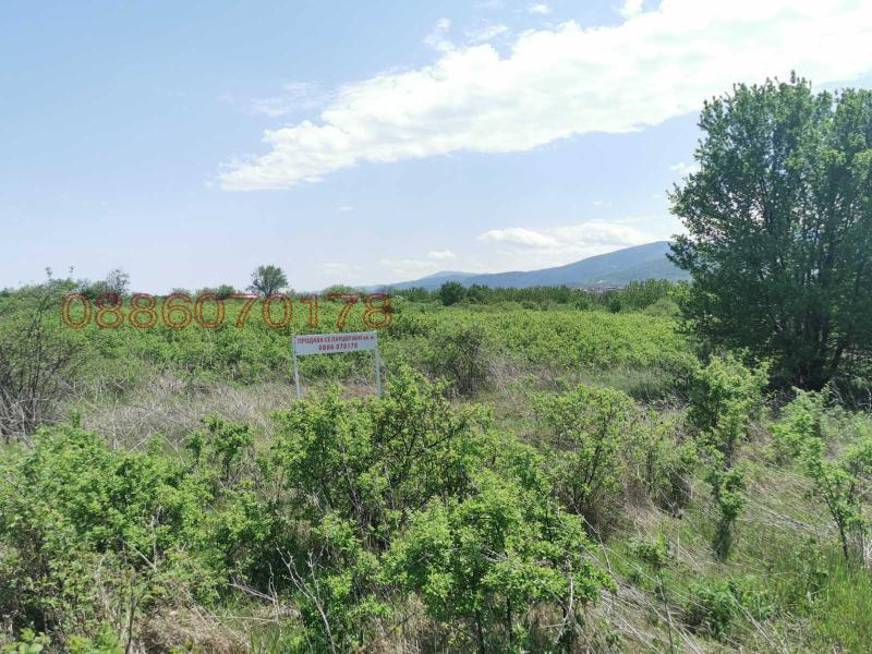 ������� ������ | Imot.bg � ����������� 9