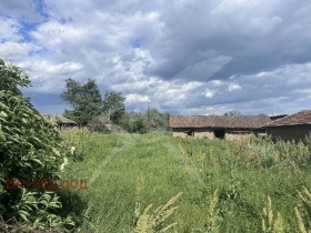 Сюжет Борец, область Пловдив