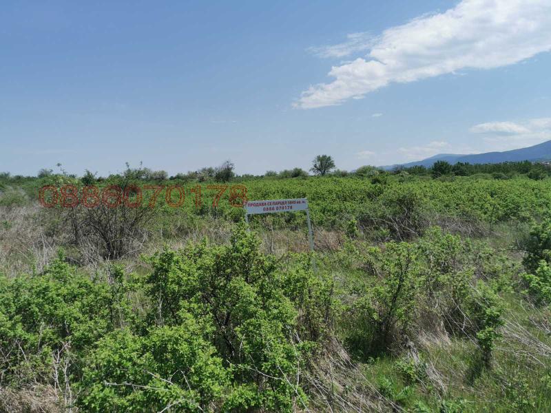 Продава ПАРЦЕЛ, с. Белащица, област Пловдив, снимка 4 - Парцели - 53164296