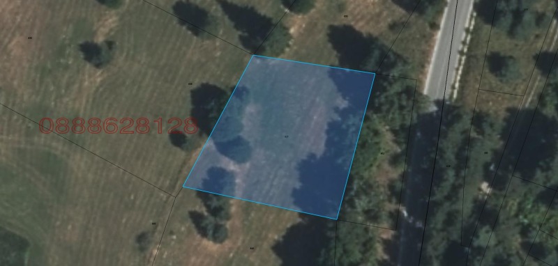 Til salg  Jord region Pazardzhik , Batak , 2.175 dka | 16866828 - billede [6]