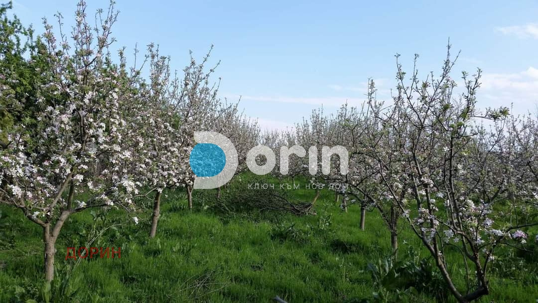Продава КЪЩА, с. Александрово, област Хасково, снимка 2 - Къщи - 38358575