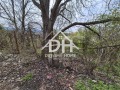 Продава ПАРЦЕЛ, област Кърджали, с. Петлино • 40000 € / 78233.20 лв. • 35870471 2