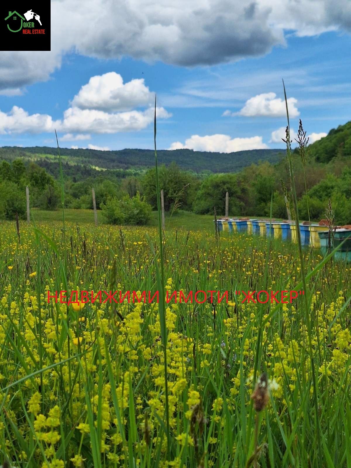 Продава ПАРЦЕЛ, с. Войнежа, област Велико Търново, снимка 5 - Парцели - 55893216