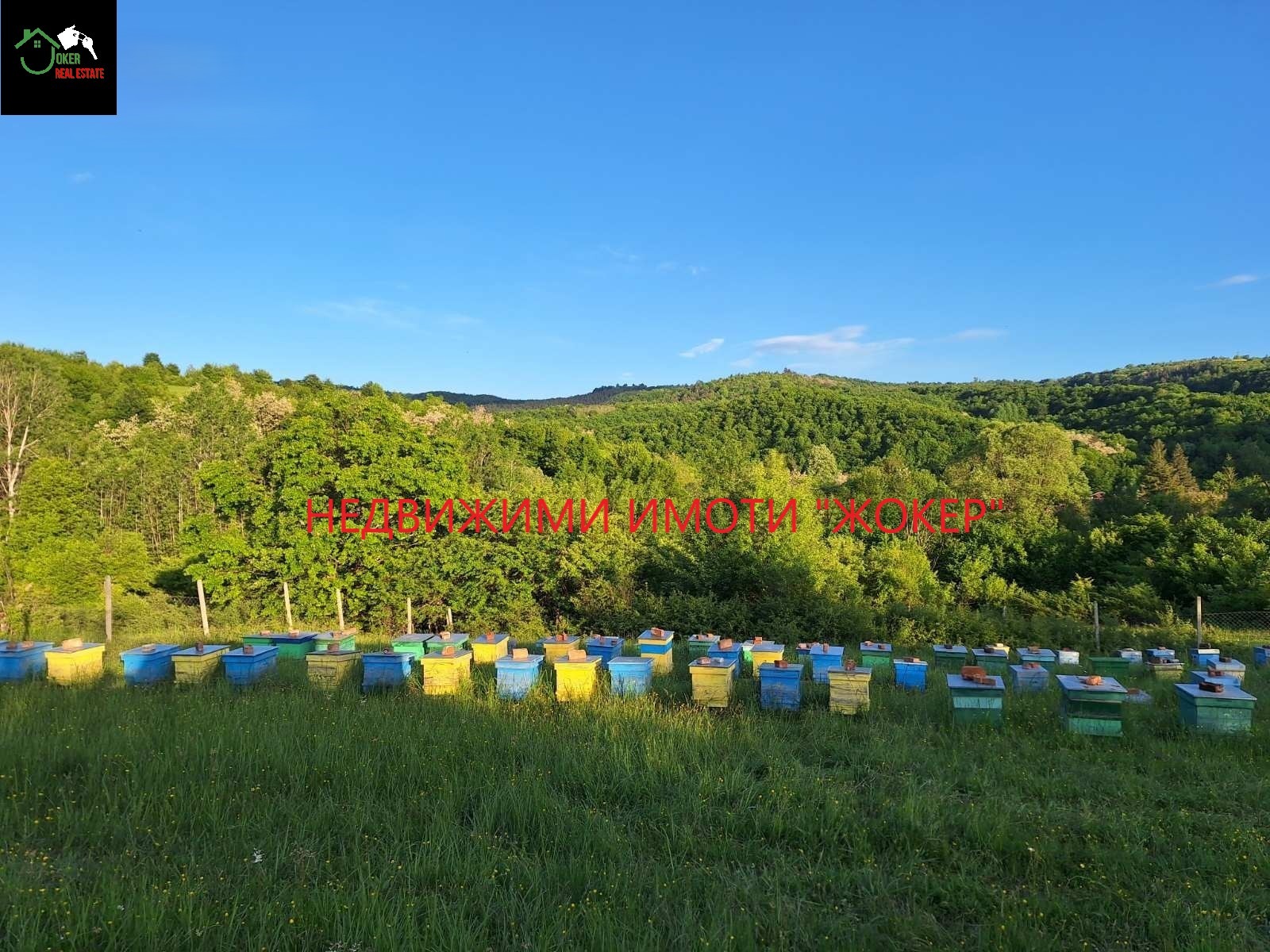 Продава ПАРЦЕЛ, с. Войнежа, област Велико Търново, снимка 3 - Парцели - 55893216