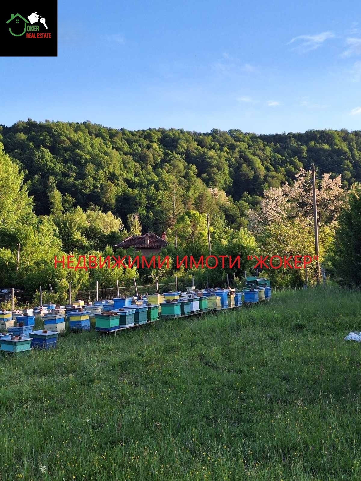 Продава ПАРЦЕЛ, с. Войнежа, област Велико Търново, снимка 4 - Парцели - 55893216