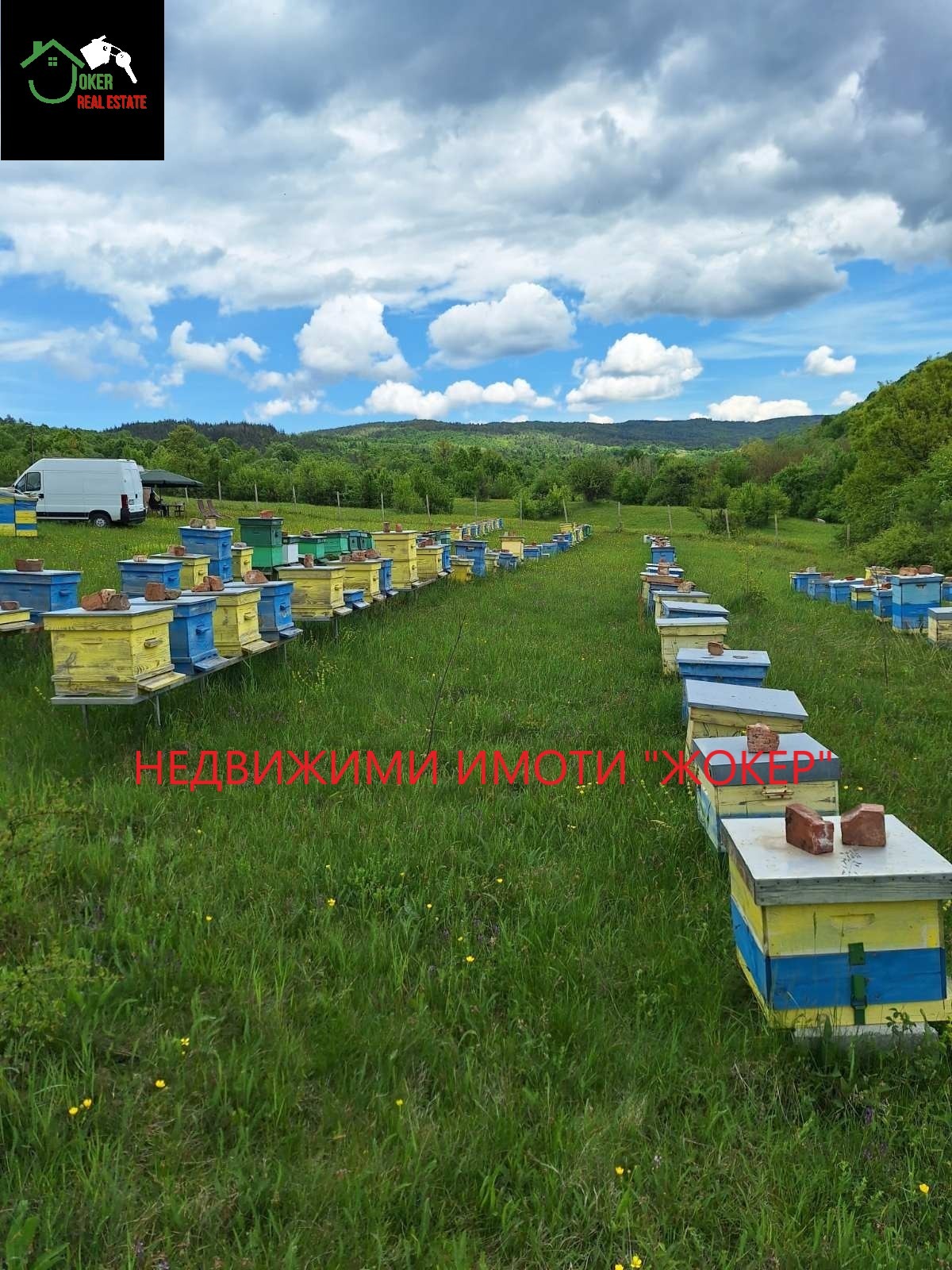 Продава ПАРЦЕЛ, с. Войнежа, област Велико Търново, снимка 2 - Парцели - 55893216