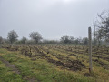 Продава ПАРЦЕЛ, гр. Аксаково, област Варна, снимка 2