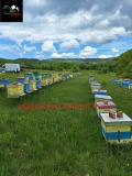 Продава ПАРЦЕЛ, с. Войнежа, област Велико Търново, снимка 2