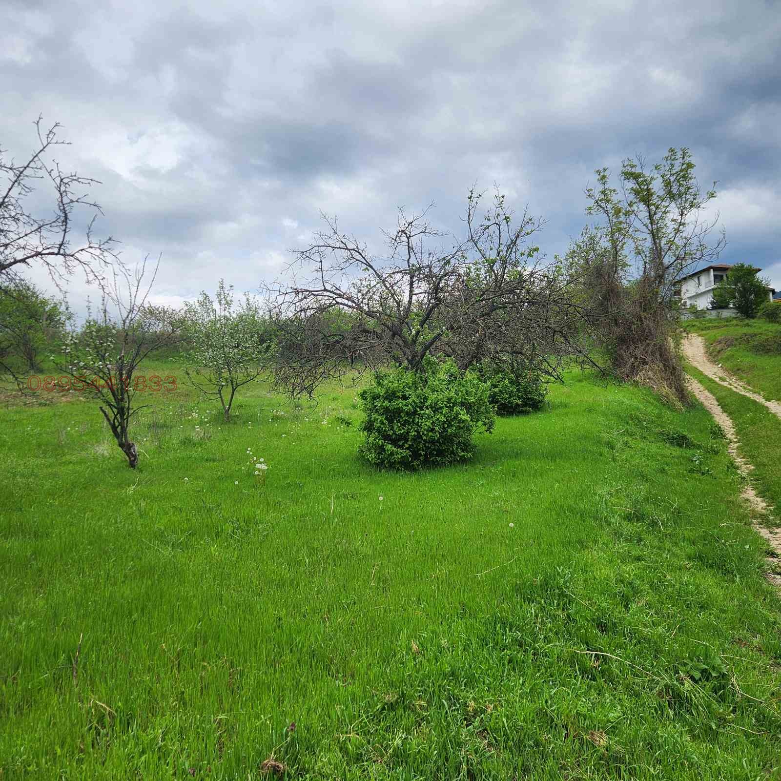 ������� ������ | Imot.bg � ����������� 1
