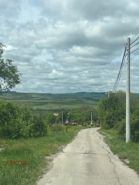 Сюжет Богданов дол, область Перник 1
