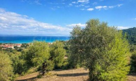 ������� ������ | Imot.bg � ����� ������ 3