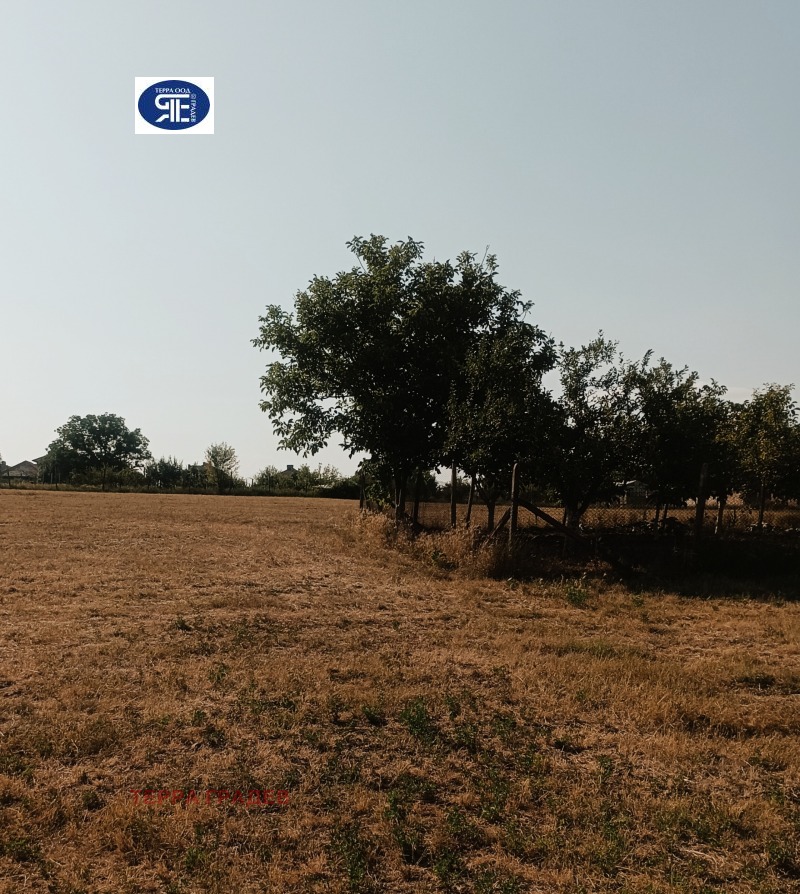 Til salg  Grund region Shumen , Veliki Preslav , 3300 kvm | 41612706 - billede [3]