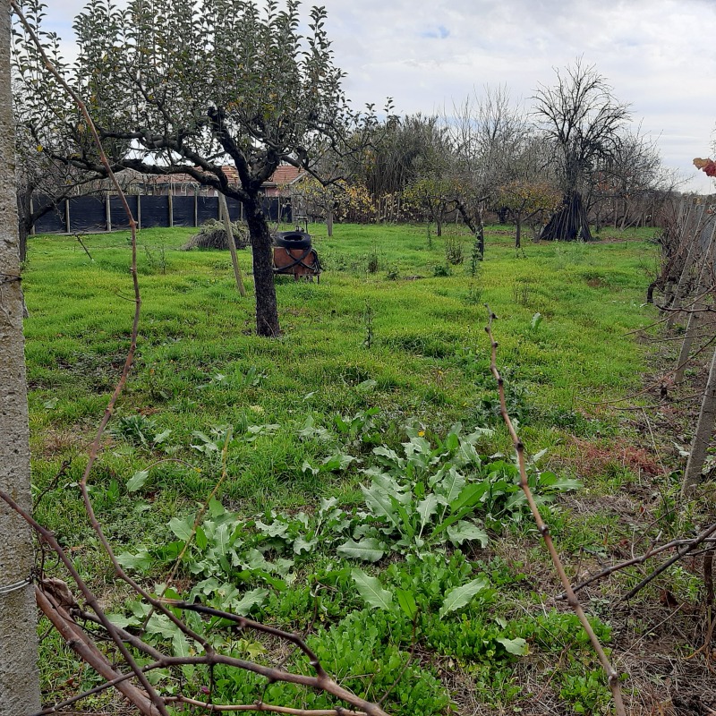 Продава ПАРЦЕЛ, с. Ракитница, област Стара Загора, снимка 3 - Парцели - 52782818