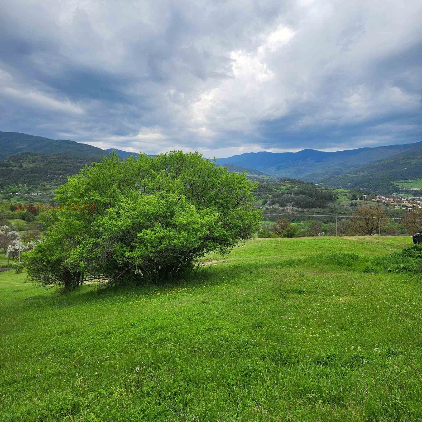 Продава ПАРЦЕЛ, с. Павелско, област Смолян, снимка 3 - Парцели - 55448237
