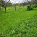 Продава ПАРЦЕЛ, с. Павелско, област Смолян, снимка 4