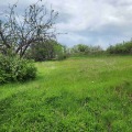Продава ПАРЦЕЛ, с. Павелско, област Смолян, снимка 11