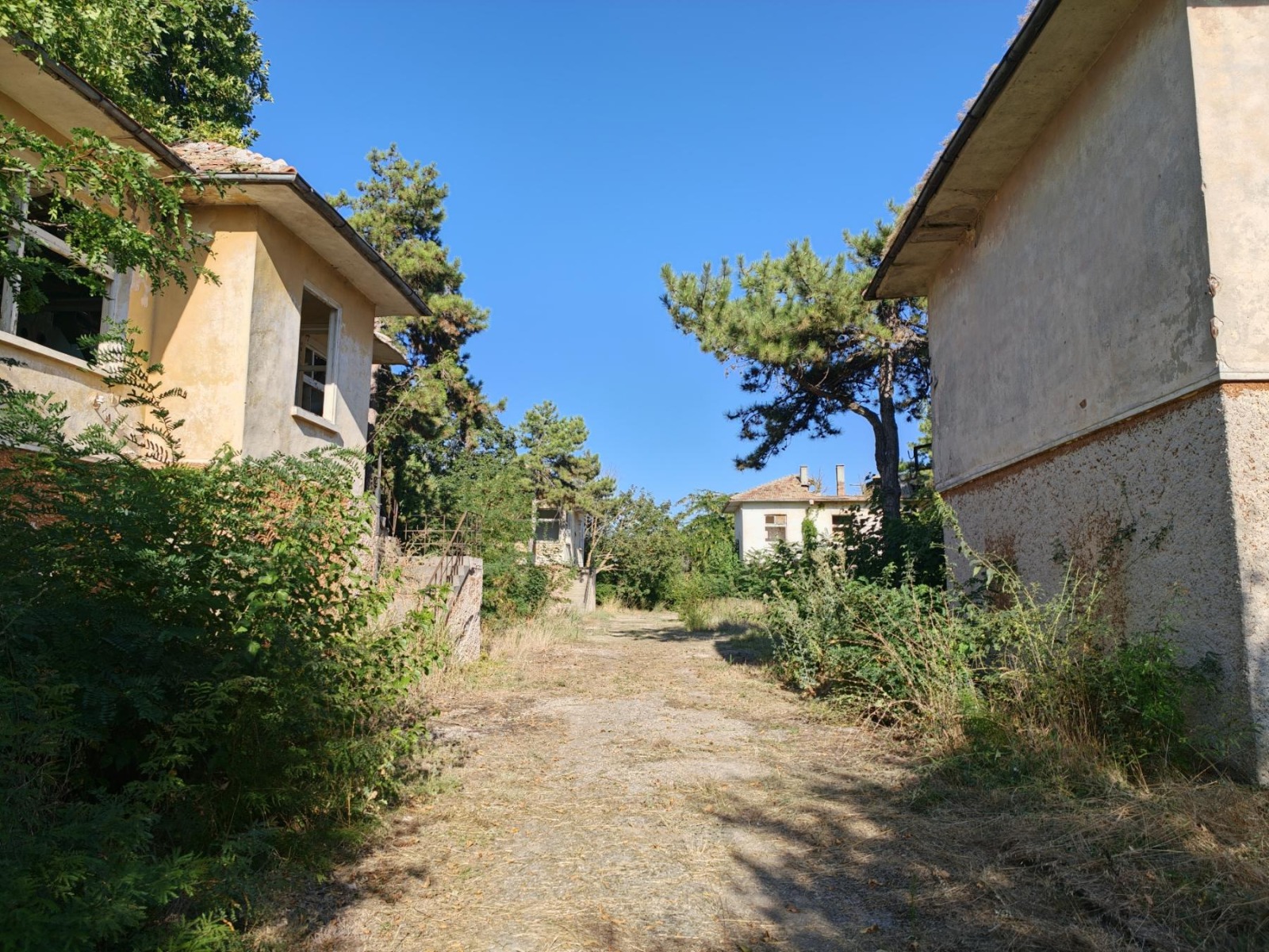 ������� ������ | Imot.bg � ����������� 14