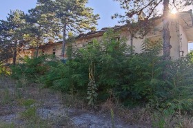 ������� ������ | Imot.bg � ����� ������ 10