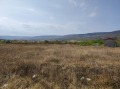 Продава ПАРЦЕЛ, с. Оброчище, област Добрич, снимка 3