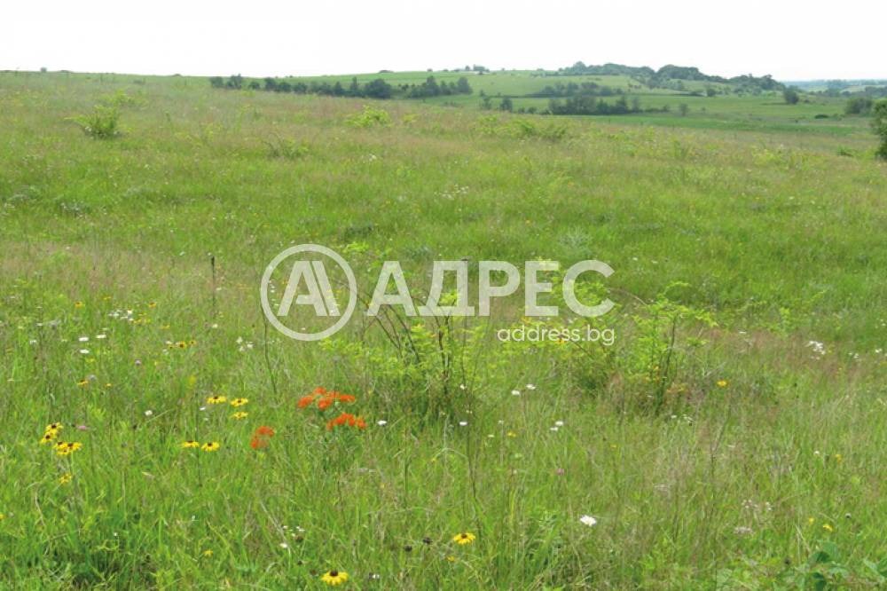 ������� ������ | Imot.bg � ����������� 1