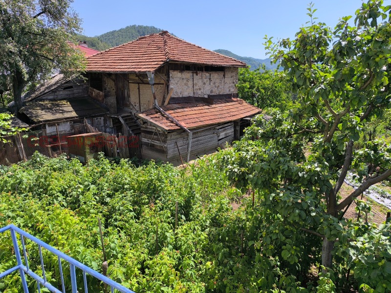 Продава КЪЩА, с. Средногорци, област Смолян, снимка 5 - Къщи - 52783514