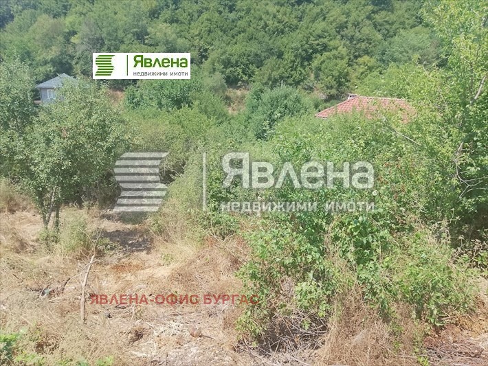 Til salgs  Plott region Burgas , Kosti , 480 kvm | 69126803 - bilde [2]