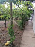 Продава КЪЩА, с. Патреш, област Велико Търново, снимка 2